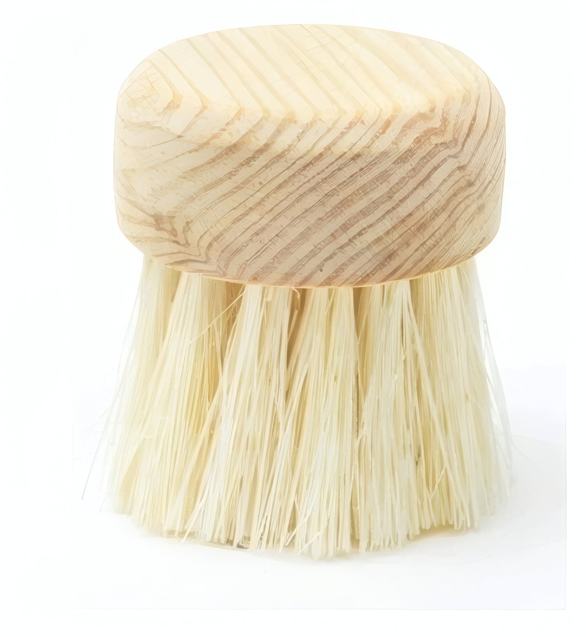 Face Brush