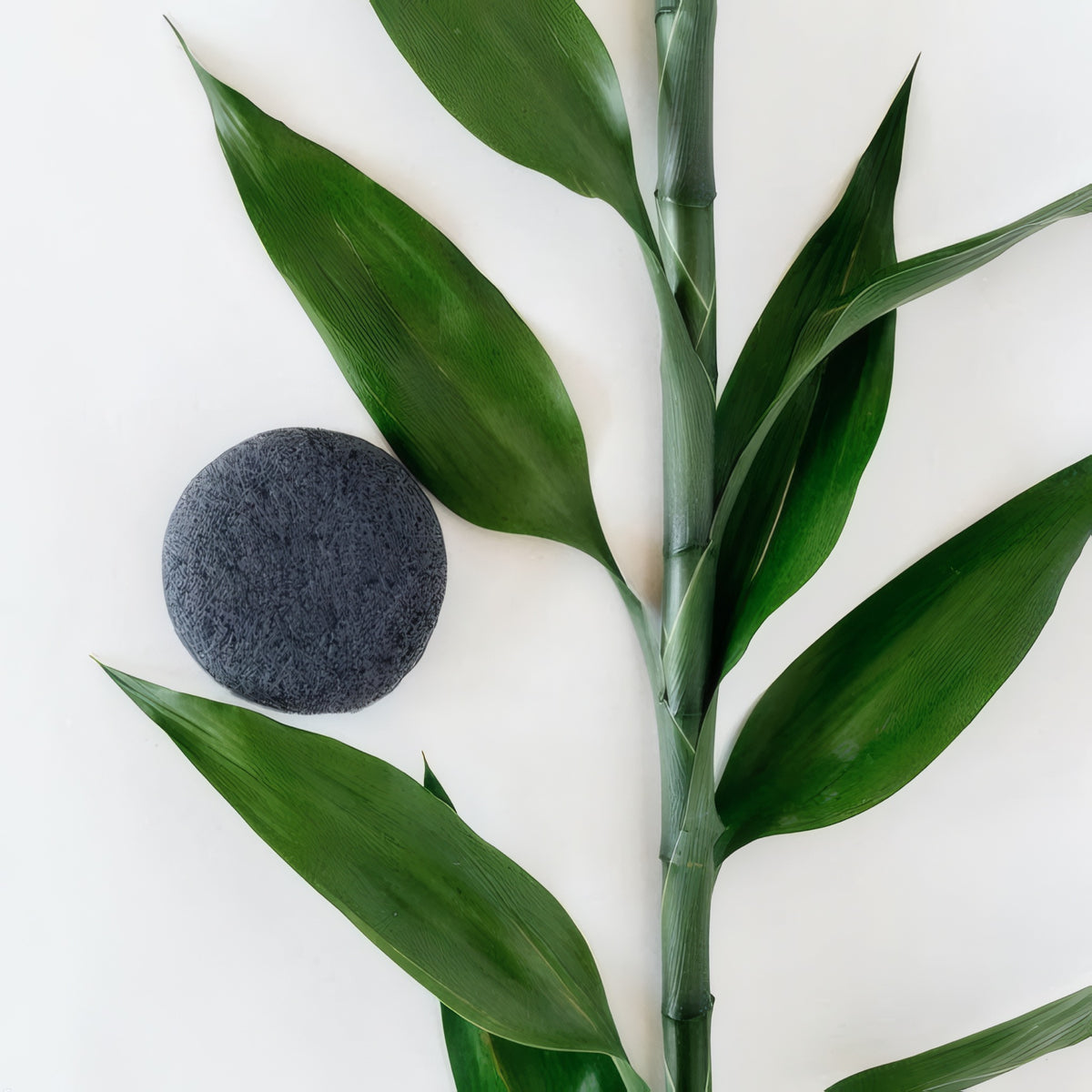 Konjac Sponge With Bamboo Charcoal