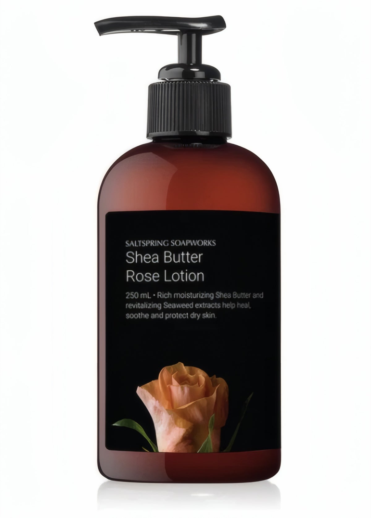 Shea Butter Rose Lotion